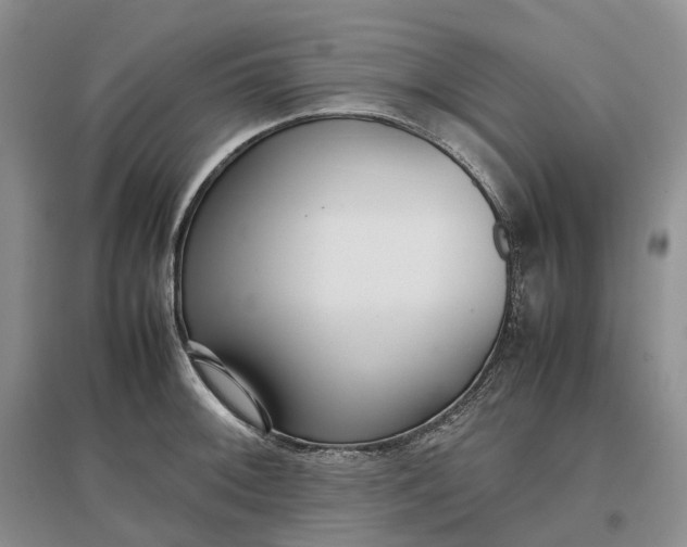 X0000097301092200802291808