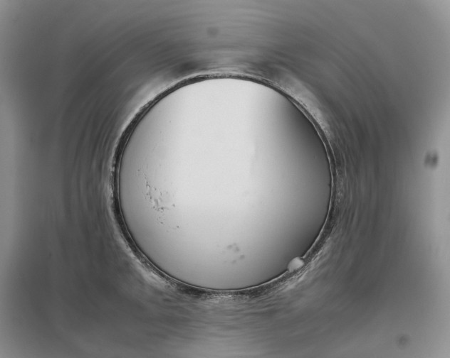 X0000097301093200802291808