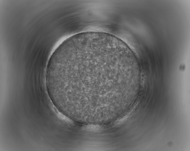 X0000097301094200802291808