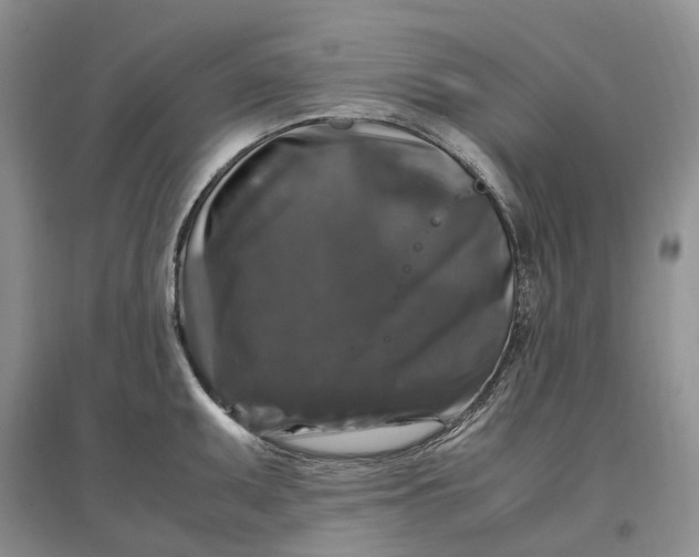 X0000097301095200802291808