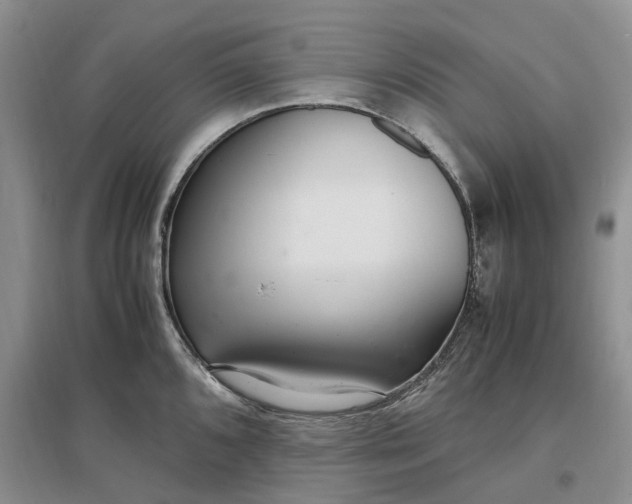 X0000097301096200802291808