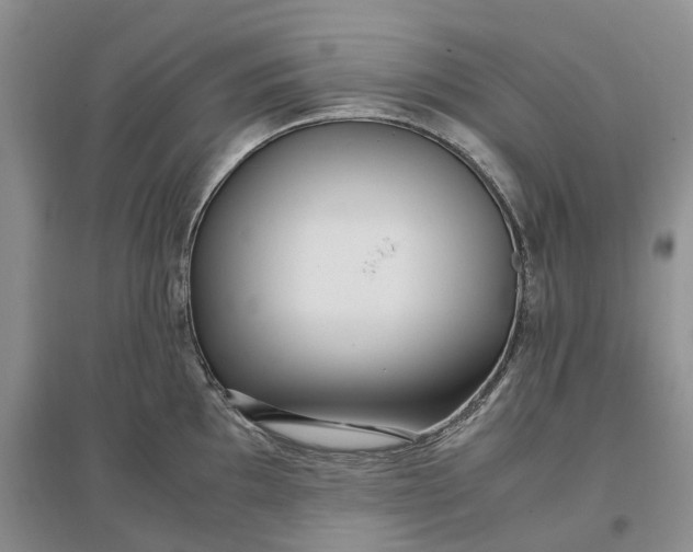 X0000097301097200802291808