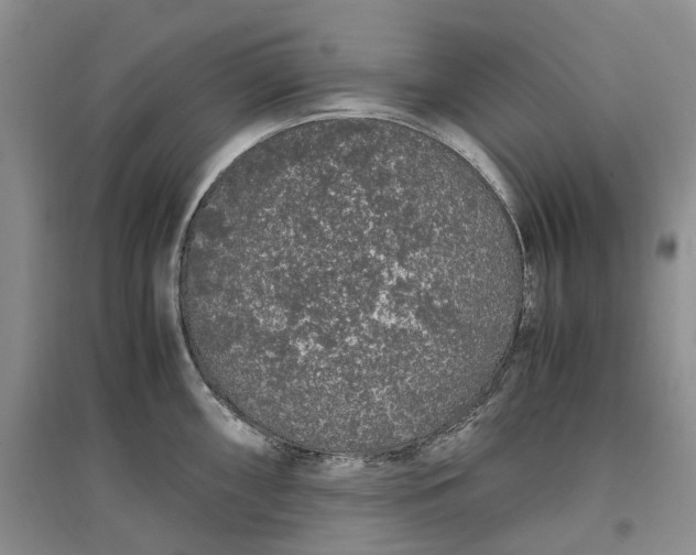 X0000097301098200802291808