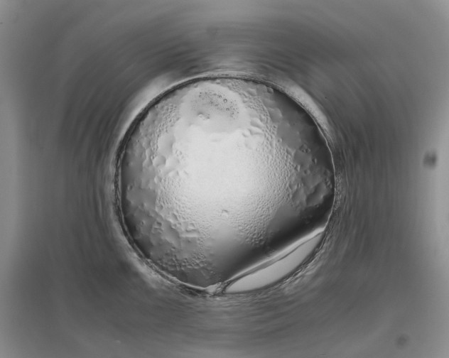 X0000097301099200802291808