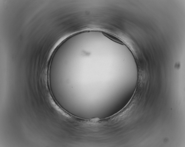 X0000097301100200802291808