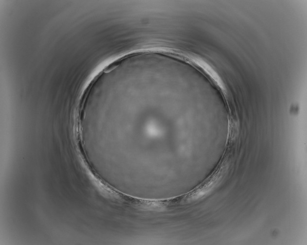 X0000097301101200802291808