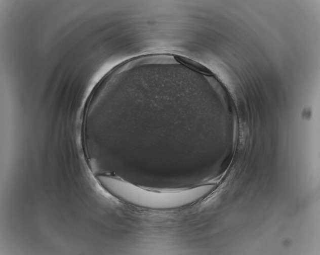 X0000097301102200802291808