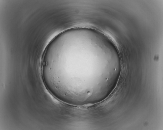 X0000097301103200802291808