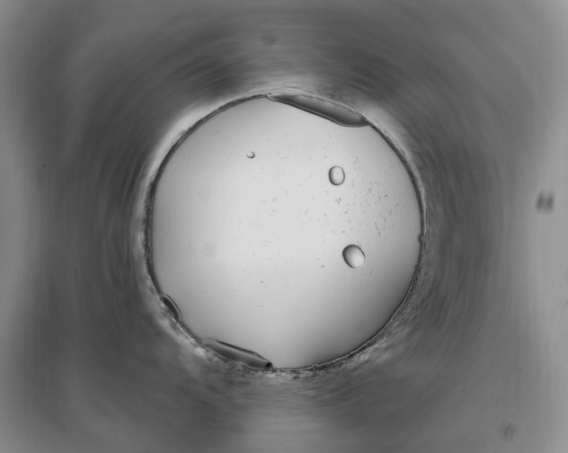 X0000097301104200802291808