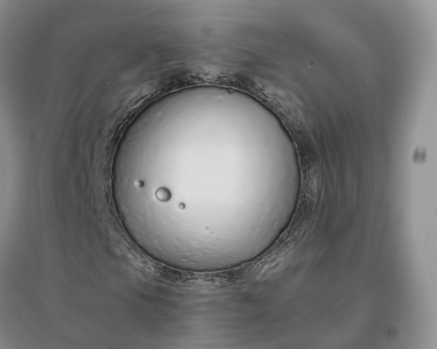 X0000097301105200802291807