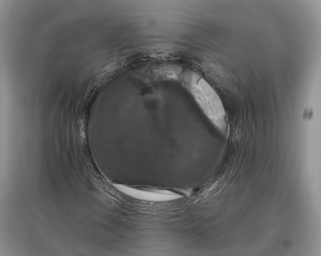 X0000097301106200802291807