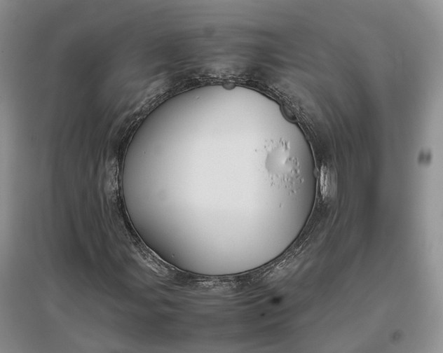 X0000097301107200802291807