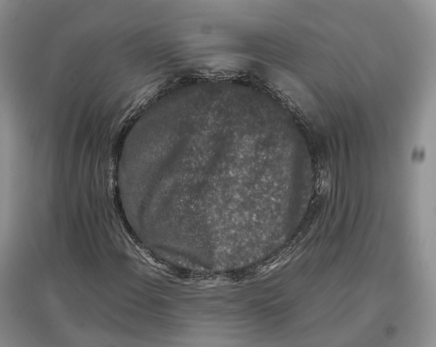 X0000097301108200802291807