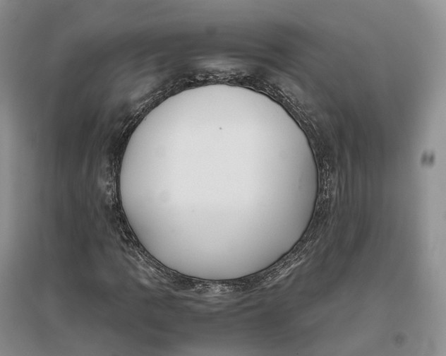 X0000097301109200802291807