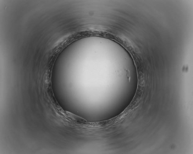 X0000097301110200802291807