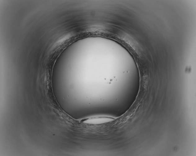 X0000097301111200802291807