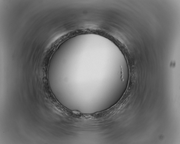 X0000097301112200802291807