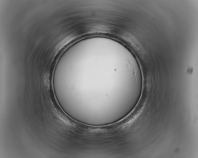 X0000097301113200802291807