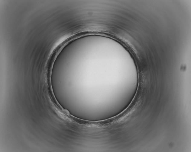 X0000097301114200802291807