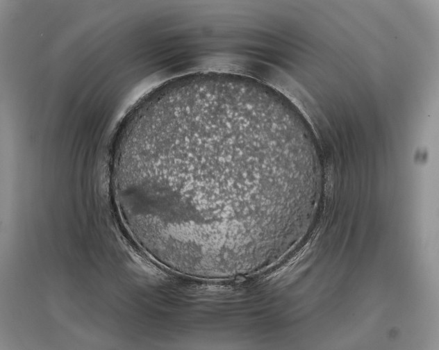 X0000097301115200802291807