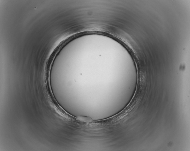 X0000097301116200802291807