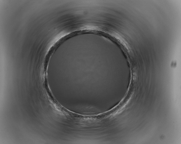 X0000097301117200802291807