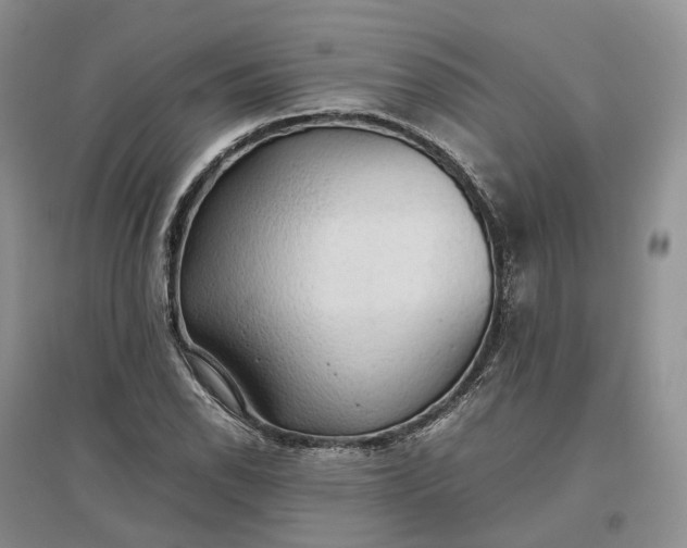 X0000097301118200802291807