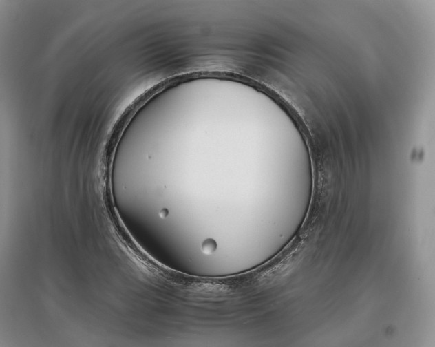 X0000097301119200802291807