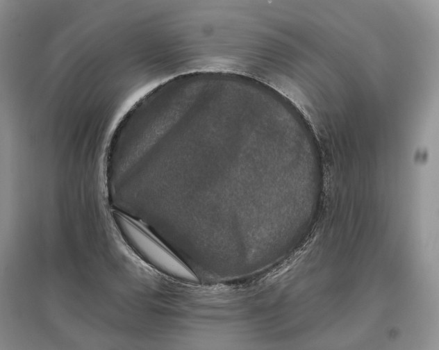 X0000097301120200802291807