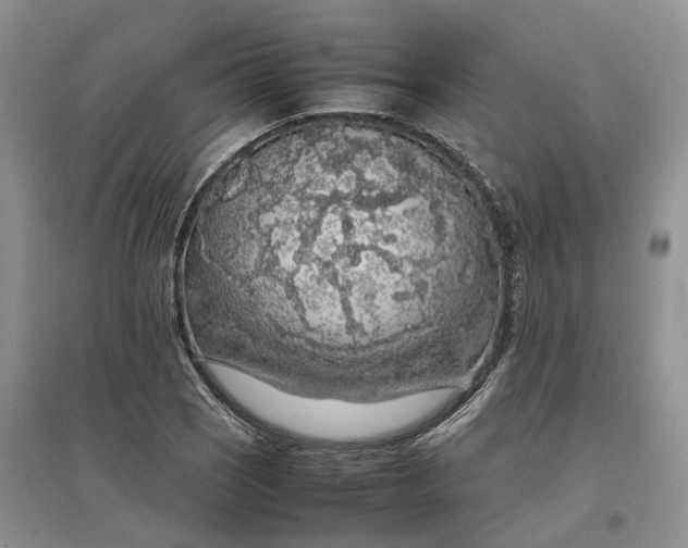 X0000097301121200802291807