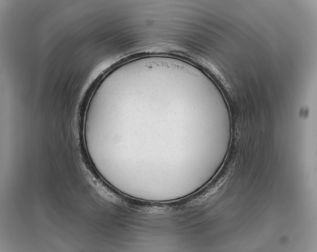 X0000097301122200802291807