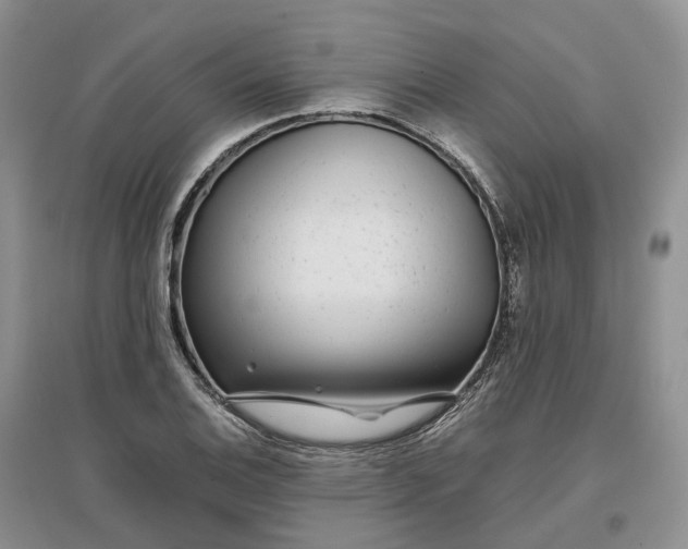 X0000097301124200802291807