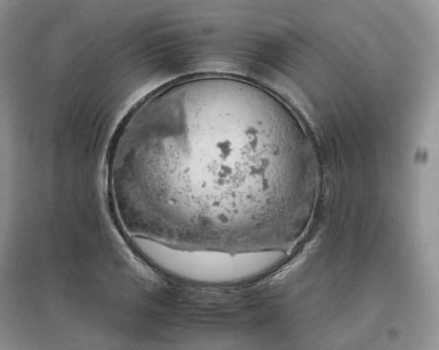 X0000097301125200802291807