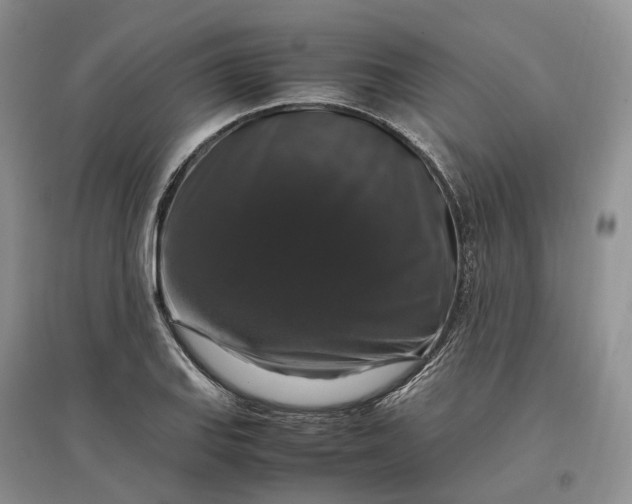 X0000097301127200802291807