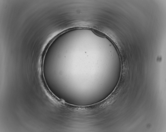 X0000097301128200802291807