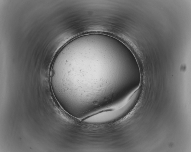 X0000097301129200802291807