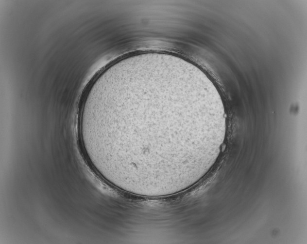 X0000097301130200802291807