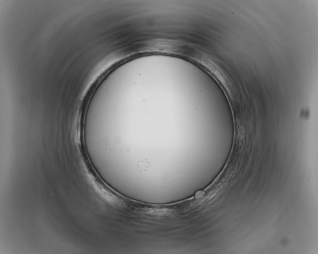 X0000097301131200802291807