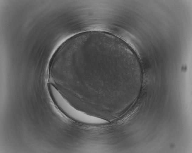 X0000097301132200802291807