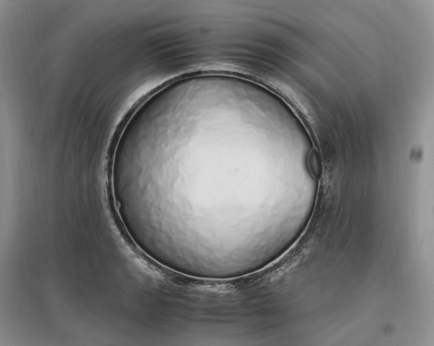 X0000097301133200802291807