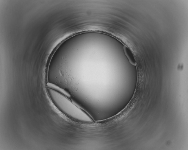 X0000097301134200802291808