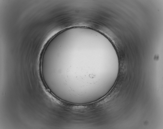 X0000097301135200802291808