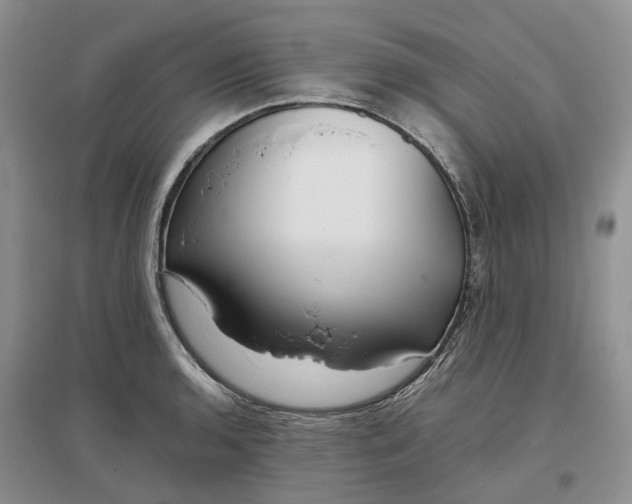 X0000097301136200802291808