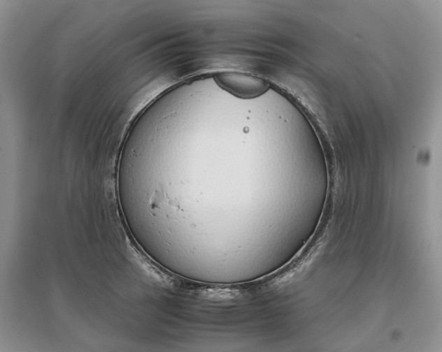 X0000097301137200802291808