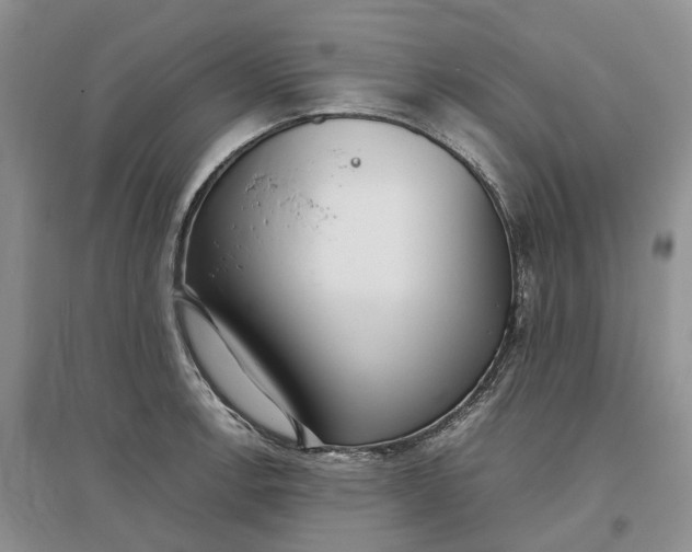 X0000097301138200802291808