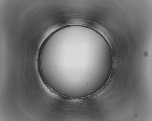 X0000097301139200802291808