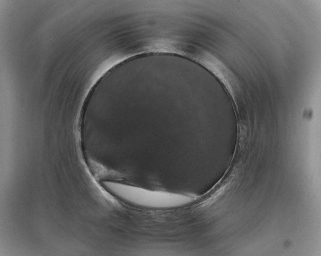 X0000097301141200802291808