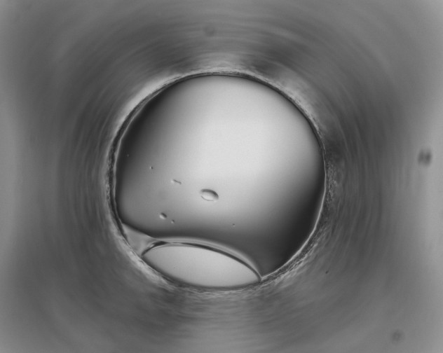 X0000097301142200802291808