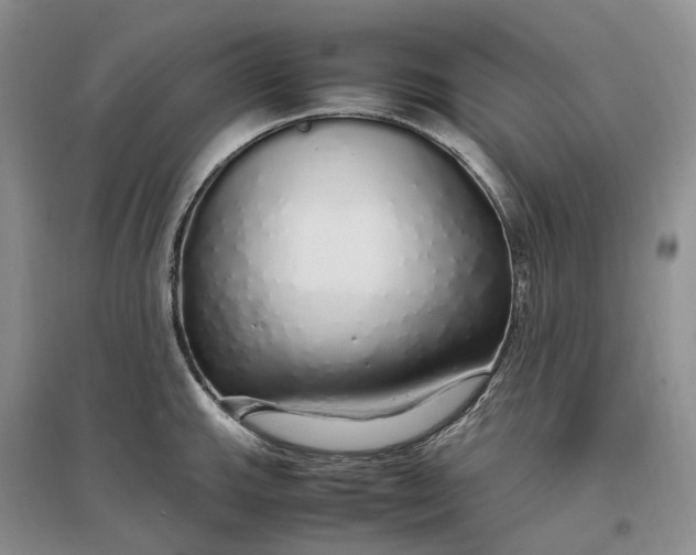 X0000097301143200802291808