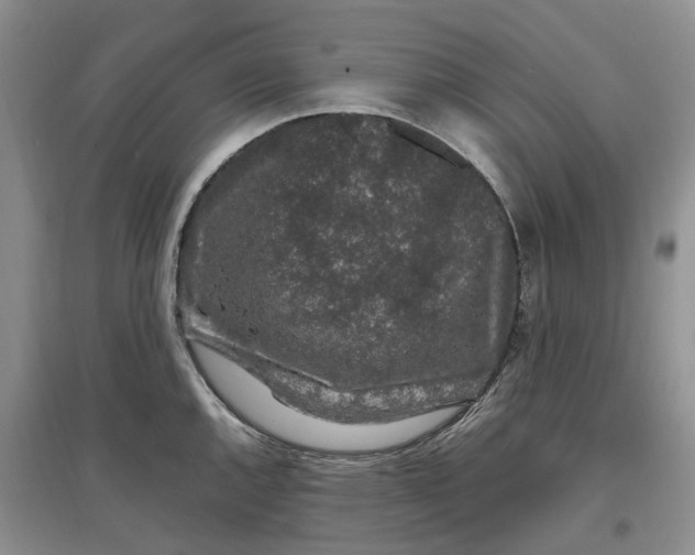 X0000097301144200802291808